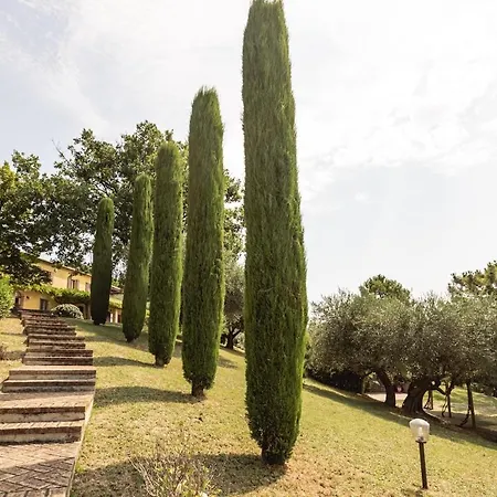 Amazhome - Le 12 Querce * Castel di Mezzo